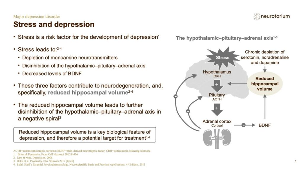 Major Depressive Disorder - Neurobiology and Aetiology - slide 31